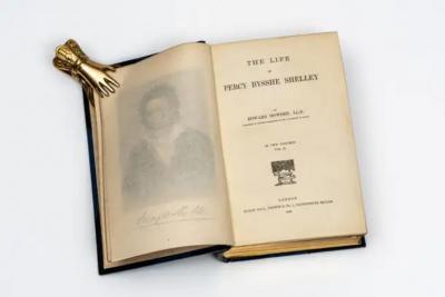 2 Volumes Edward Dowden The Life of Percy Bysshe Shelley 