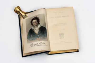 2 Volumes Edward Dowden The Life of Percy Bysshe Shelley 