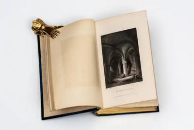 2 Volumes Edward Dowden The Life of Percy Bysshe Shelley 