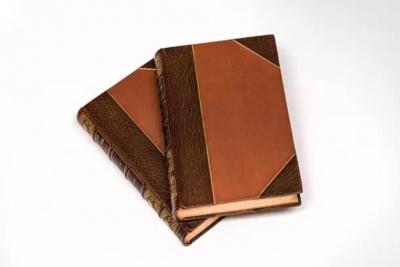 2 Volumes Samuel Rawson Gardiner A History of England 