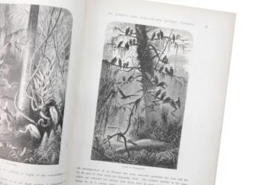 2 Volumes William Cullen Bryant Picturesque America 