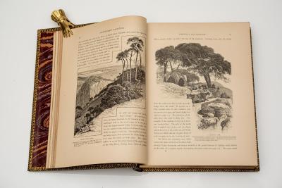 2 vol Colonel Wilson Picturesque Palestine Sinai and Egypt