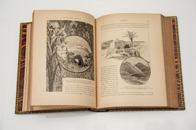 2 vol Colonel Wilson Picturesque Palestine Sinai and Egypt