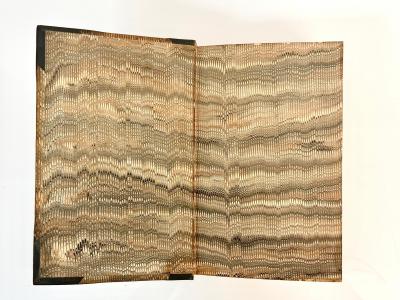 2 vols Virgil and Charles Symmonds The neis of Virgil