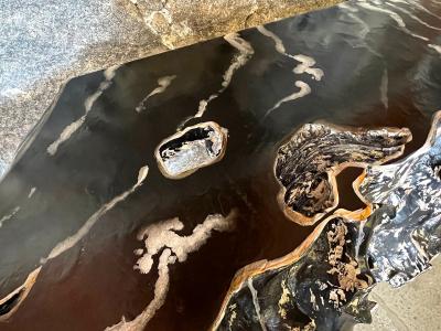 21st Century Modern Organic Teak Root Console Table Handpainted IDN 2023