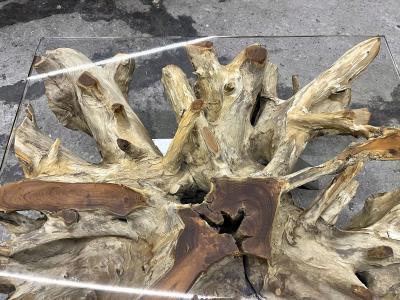 21st Century Organic Modern Teak Root Coffee Sofa Table Glass Plate IDN 2024