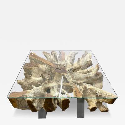 21st Century Organic Modern Teak Root Coffee Sofa Table Glass Plate IDN 2024
