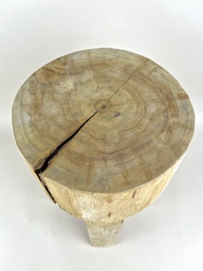 21st Century Rustic Teak Wood Stool Side Table Handcarved Modern Organic