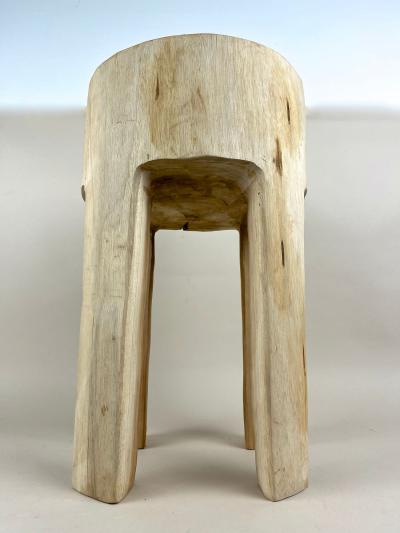 21st Century Rustic Teak Wood Stool Side Table Handcarved Modern Organic