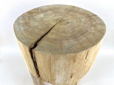 21st Century Rustic Teak Wood Stool Side Table Handcarved Modern Organic