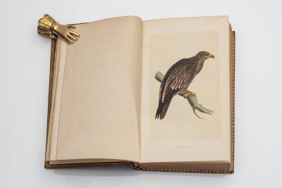 6 vol Rev Morris A History of British Birds