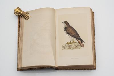 6 vol Rev Morris A History of British Birds