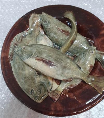 76 Portuguese Palissy majolica plate
