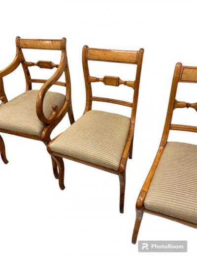 8 Regency Dining Chairs Tiger Maple and birdseye maple