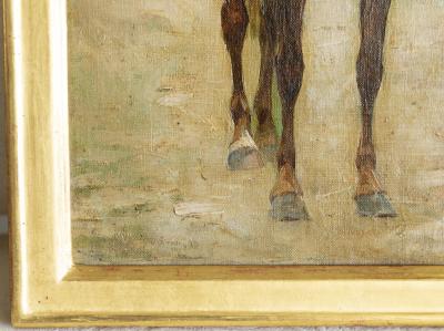 A 19TH CENTURY FRENCH SCHOOL STUDY OF A HORSE OIL ON CANVAS ON BOARD
