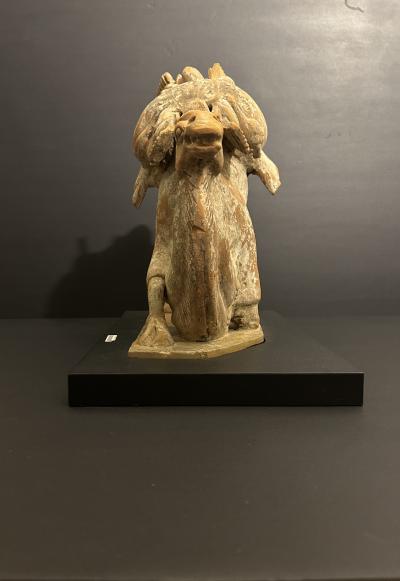 A Chinese Kneeling Camel Tang Dynasty 618 908 AD or earlier TL tested 