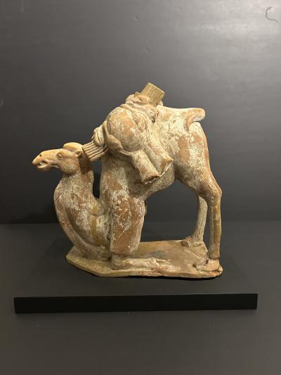 A Chinese Kneeling Camel Tang Dynasty 618 908 AD or earlier TL tested 