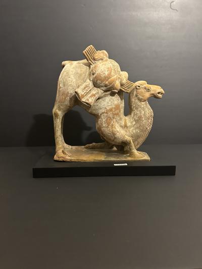 A Chinese Kneeling Camel Tang Dynasty 618 908 AD or earlier TL tested 