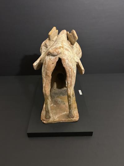 A Chinese Kneeling Camel Tang Dynasty 618 908 AD or earlier TL tested 