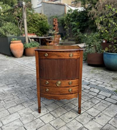 A FINE GEORGE III PERIOD MAHOGANY BEDSIDE CABINETS