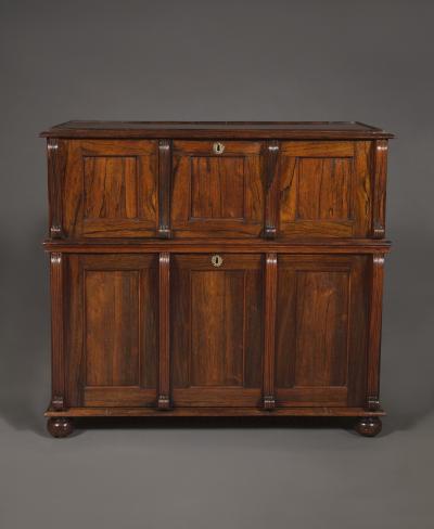 A LARGE FINELY FIGURED ROSEWOOD COLLECTOR S CABINET OF UNUSUAL FORM