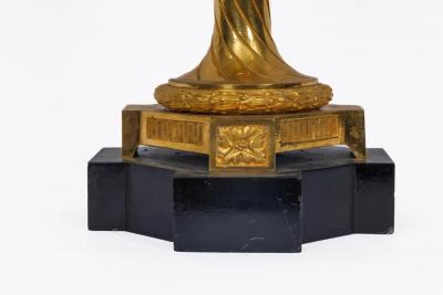 A Magnificent Pair of French Louis XVI Style Ormolu Vases