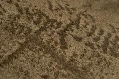 A Pair of Art Deco Velvet Armchairs Europe First Half of the 20th Century