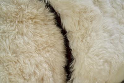 A Pair of European Armchairs in White Sheepskin Europe 20th Century