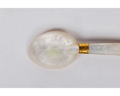 A Rare Mughal Indian Gold and Enamel Mother of Pearl Spoon with Diamonds