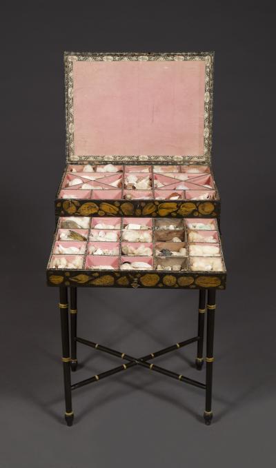 A Regency Penwork Casket Decorated With Depictions Of Seashells