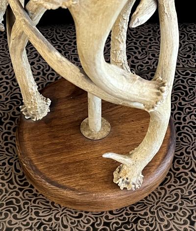 A Rustic Antler Form Table Lamp