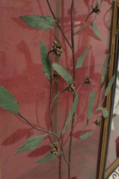A Scotto A Scotto Signed Showcase With Floral Metal Decoration