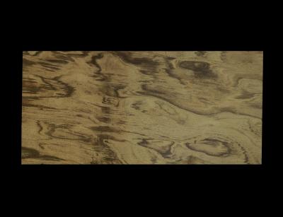 A VERY RARE PAIR OF VENEERED LEGNO SILICIZZATO TABLE TOPS