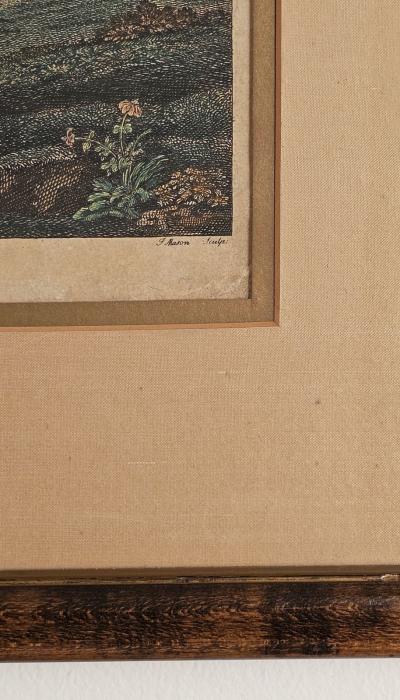 A View in Newstead Park belonging to the Rt Hon the Lord Byron c 1749