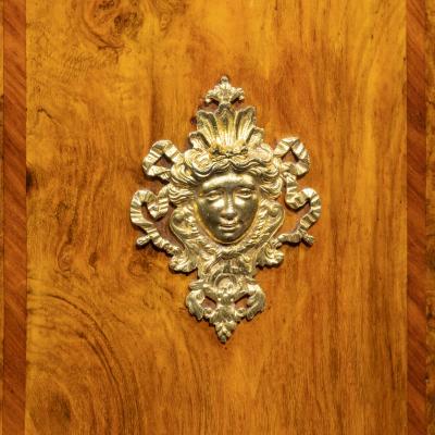 A mid Victorian kingwood serpentine cabinet