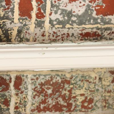 A pair of French painted doors C 1900 