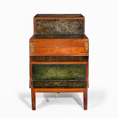 A set of Regency mahogany metamorphic library steps