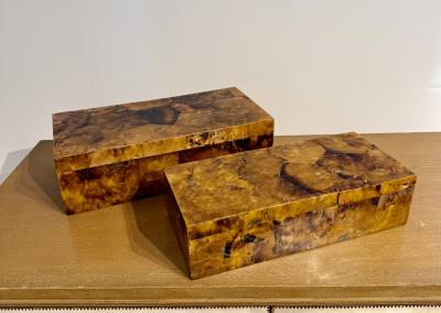 A set of Two Palma Boxes Crafted from brown Crackled Shell 