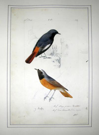 AN ALBUM OF ORIGINAL WATERCOLOR DRAWINGS