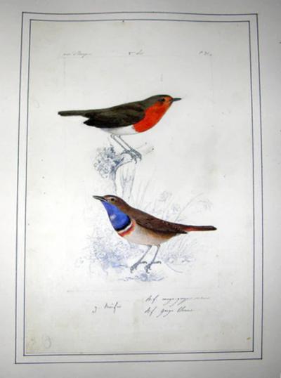 AN ALBUM OF ORIGINAL WATERCOLOR DRAWINGS