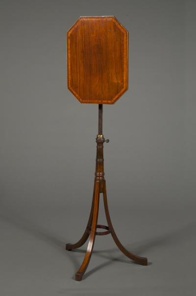 AN EXCEPTIONALLY WELL DRAWN AND FINE PAIR OF OCCASIONAL TABLES