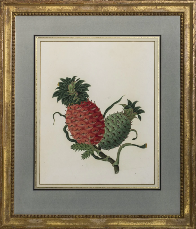 ANGLO CHINESE SCHOOL PINEAPPLE