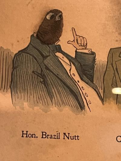 ANTIQUE BUNCH OF NUTS COMICAL EARLY LITHOGRAPH