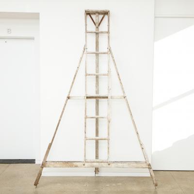 ANTIQUE FRUIT PICKING LADDER