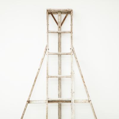 ANTIQUE FRUIT PICKING LADDER