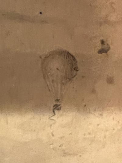 ANTIQUE MOULIN SANS SOUCI WINDMILL MUSICAL DIORAMA