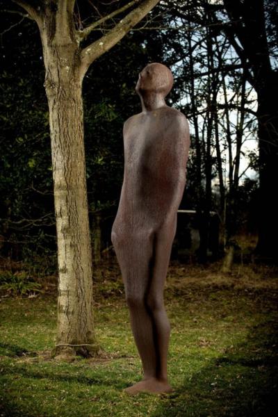 ANTONY GORMLEY Well 2000