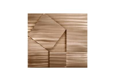 ARTHUR CARTER Mathematika II 2008