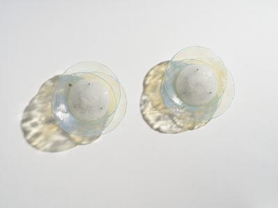 AV Mazzega Pair of Large Flush Mounts Wall Lights