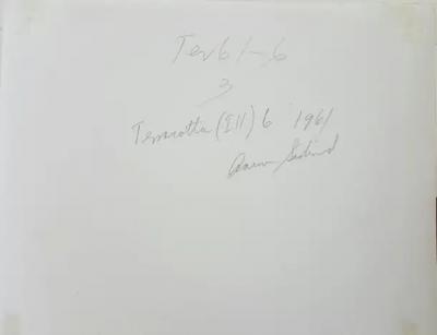 Aaron Siskind Terracotta I11 6 